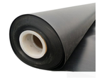 HDPE Geomembrane